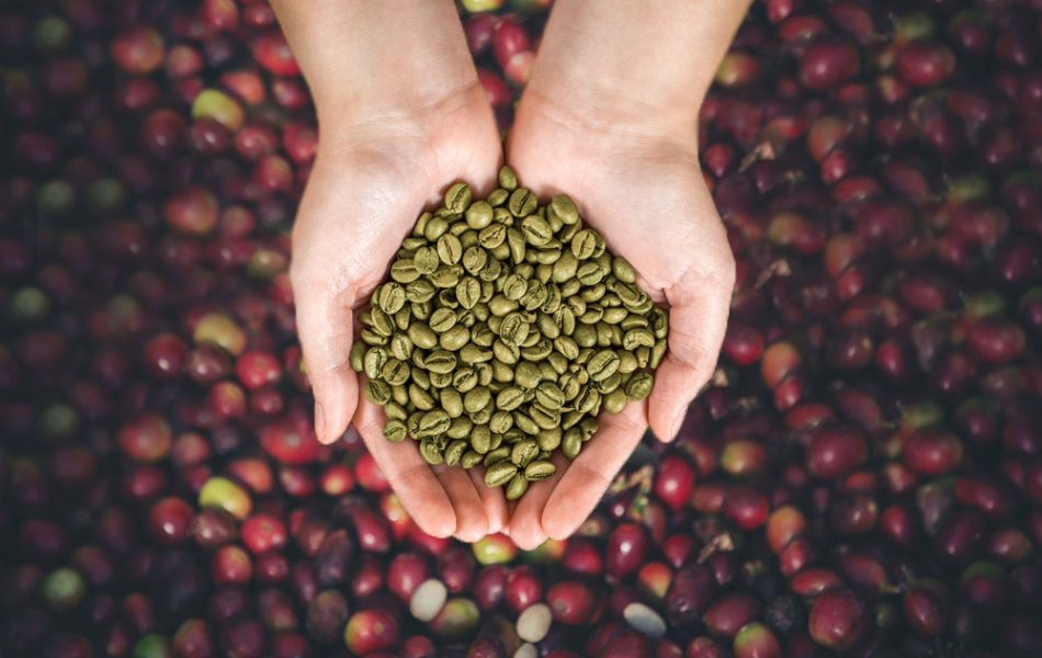 greenbeans